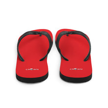 Load image into Gallery viewer, Slippers
